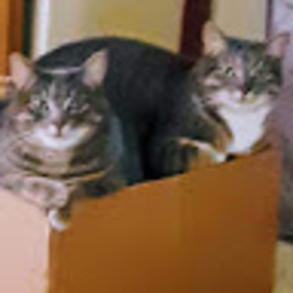 Meet your Posher, Renee - Picture 1 of 1